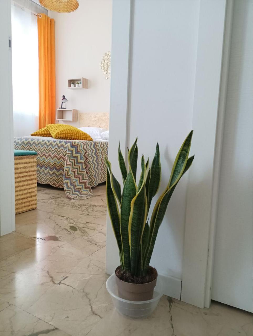 Blasius Home Катания Экстерьер фото